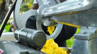 (ویدئو) عملیات برش زدن و تهیه 500 کیلو آب آناناس توسط جوانان روستایی هندی