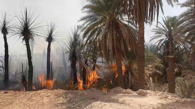 (ویدئو) باغ‌ها و نخلستان‌های منوجان در آتش سوختند