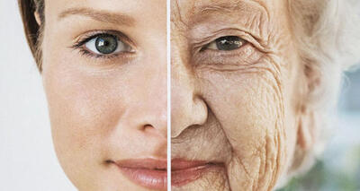 سلول های بدن شما می‌توانند حتی در یک روز پیر شوند!