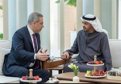 دیدار هاکان فیدان با رئیس امارات - تسنیم