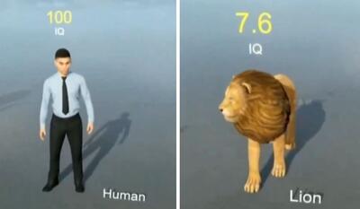 مقایسه بهره هوشی انسان با سایر حیوانات (فیلم)