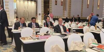 چهل و سومین مجمع عمومی شورای المپیک آسیا با حضوری خسروی وفا آغاز شد