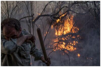 آخرین اخبار از آتش سوزی در پارک ملی کرخه