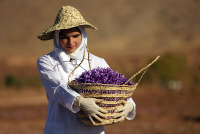 10 مشتری اصلی زعفران ایرانی کدامند؟