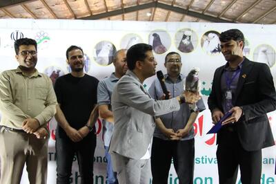 دومین جشنواره بین‌المللی کبوتر «نوک قنار» در ایستگاه پایانی