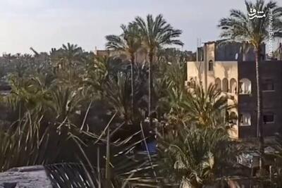 فیلم/ لحظه بمباران مسجدی در نوار غزه