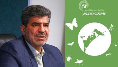 مدیرکل حفاظت محیط زیست استان تهران: انجام اقدامات موثر در حفظ زیستگاه پرندگان مهاجر ضروری است
