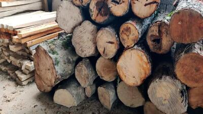 پلمب یک کارگاه چوب‌بری متخلف در آمل