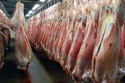 جدیدترین قیمت گوشت قرمز اعلام شد| گوشت ۲۱۰ هزار تومانی در کجا توزیع می‌شود؟