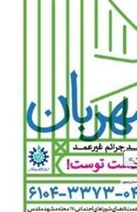 مشارکت 43 هزار نفر در پویش   مشهد مهربان   در دهه کرامت - تسنیم
