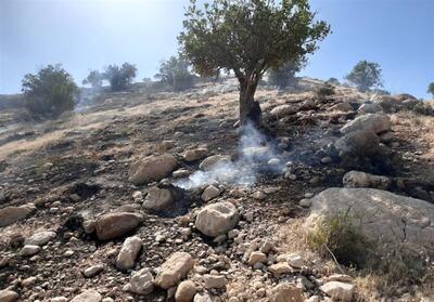آتش‌سوزی در منطقه حفاظت‌شده   بدیل   بهبهان - تسنیم