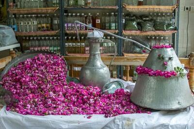 صادرات گلاب ایران به 36 کشور دنیا