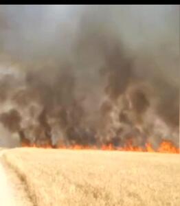 کشاورزان از آتش زدن بقایای گیاهان خودداری کنند/لزوم حفظ مواد عالی خاک