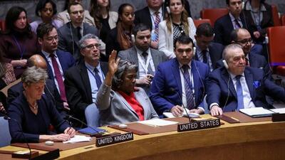 آمریکا بعید است عضویت فلسطین را «وتو» کند