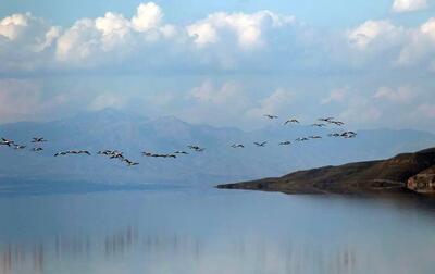 حال خوش این روزهای دریاچه ارومیه +فیلم