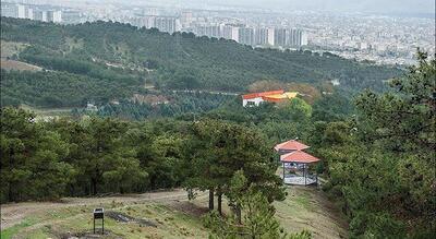 مخالفت منابع طبیعی تهران با ساخت هتل در پارک جنگلی