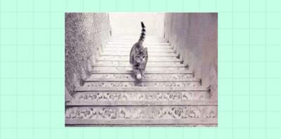 تست شخصیت شناسی تصویری| گربه از پله ها به سمت پایین می رود یا به سمت بالا؟