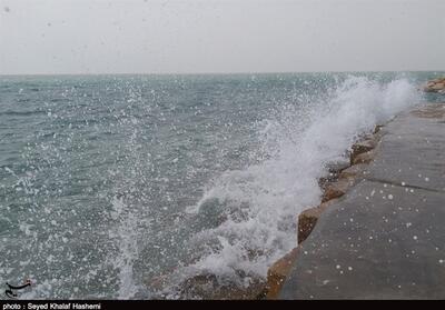 نوار ساحلی استان بوشهر تا پایان هفته مواج است - تسنیم