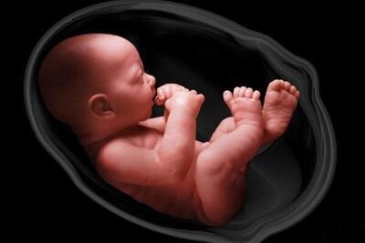 مرکز نفس خمین ۱۲ جنین را از سقط نجات داد