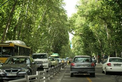 (تصویر) بلای تلخی که زاکانی بر سر خیابان صدساله تهران آورد؛ ولیعصر تغییر چهره داد!