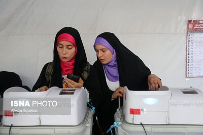 بیاتی: برگزاری انتخابات الکترونیک اقدام مثبت از سوی دولت بود