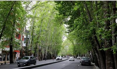 عکس | بلای تلخی که زاکانی بر سر خیابان صدساله تهران آورد؛ ولیعصر تغییر چهره داد!