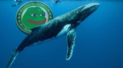 انباشت صدها میلیارد پپه توسط نهنگ‌ها! قیمت PEPE سقف ۰٫۰۰۰۰۱ دلار را می‌شکند؟