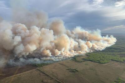 آتش‌سوزی جنگل‌های کانادا هزاران نفر را آواره کرد