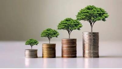 سرمایه‌گذاری‌های پایدار: هم سودآور و هم دوستدار محیط زیست