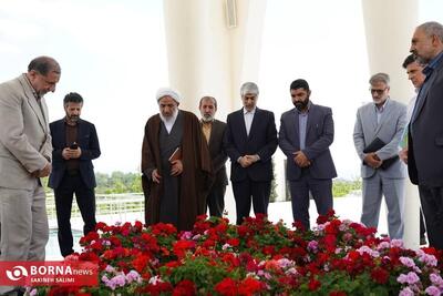 دیدار وزیر ورزش و جوانان با اعضای کمیسیون فرهنگی مجلس