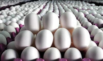 قیمت تخم مرغ در بازار امروز ۲۵ اردیبشهت ۱۴۰۳