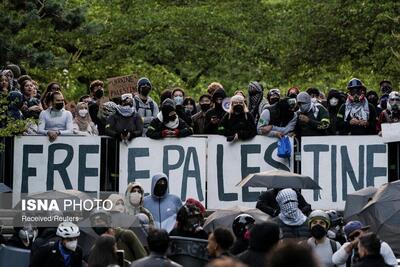 تصاویر: تجمع دانشجویان آمریکا و اروپا در حمایت از مردم فلسطین