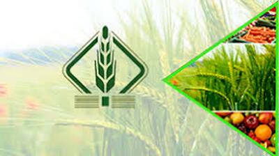صندوق‌های حمایت از بخش کشاورزی، نهادهای توسعه‌ای می‌شوند