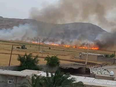 آتش اختلاف، بخشی از زمین‌های کشاورزی منطقه پُتِک باغ‌ملک را سوزاند