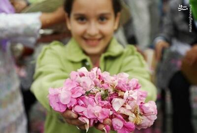 عکس/ جشنواره گل و گلاب در محلات