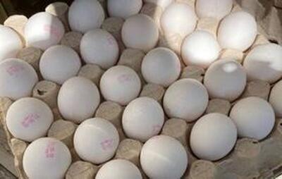 امروز ۲۵ اردیبهشت ۱۴۰۳؛ قیمت تخم مرغ شانه‌ای چند؟