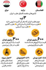 بازار‌های زیرزمینی خرید و فروش عقرب در ایران