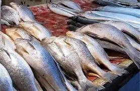 قیمت انواع ماهی ۲۶ اردیبهشت ۱۴۰۳+ جدول