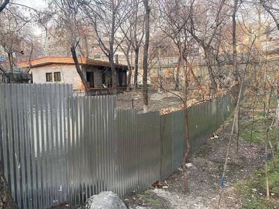 رئیس سازمان محیط زیست: در محل ساخت مسجد در پارک قیطریه، درختی وجود ندارد که قطع شود - عصر خبر