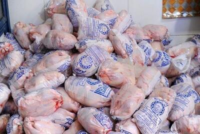 صادرات ۴ هزار تن مرغ مازاد