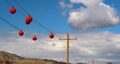 توپ‌های رنگی روی سیم‌های برق: تفریح یا خطر