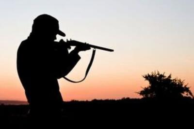 شکارچی با سابقه در فیروزه دستگیر شد