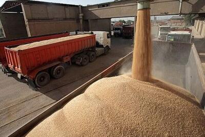 خرید بیش از یک میلیون و ۲۸۰ هزار تن گندم در خوزستان