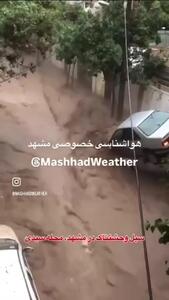 ویدیو وحشتناک از آغاز سیل در محله سیدی مشهد