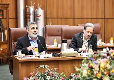 ایران برای همکاری‌ها در حوزه فناوری هسته‌ای اعلام آمادگی کرد - تسنیم