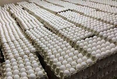 صادرات ۳۳ هزار تن تخم مرغ از ابتدای سال