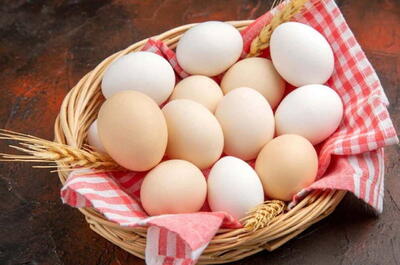 تخم مرغ خراب را با این روش‌ها بشناسید | پایگاه خبری تحلیلی انصاف نیوز