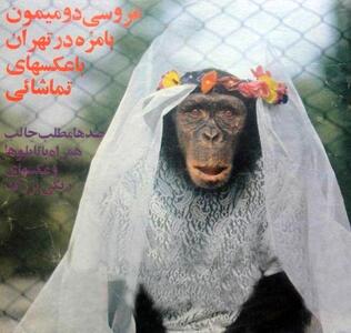 (تصاویر) سفر به ایران قدیم؛ عکس‌های مراسم ازدواج ۲ میمون در باغ وحش تهران را ببینید!