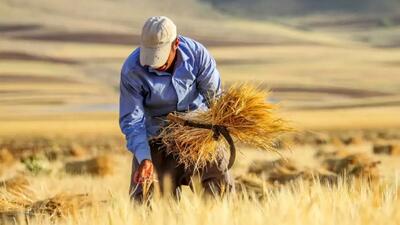 رکورد جدید کشاورزی در رفع بیکاری