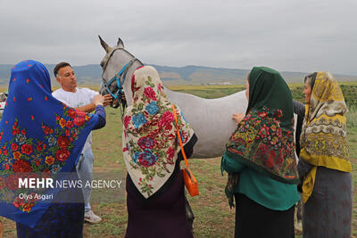 هجدهمین جشنواره ملی زیبایی اسب اصیل ترکمن